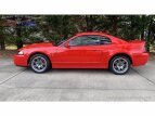 Thumbnail Photo 4 for 2003 Ford Mustang Cobra Coupe